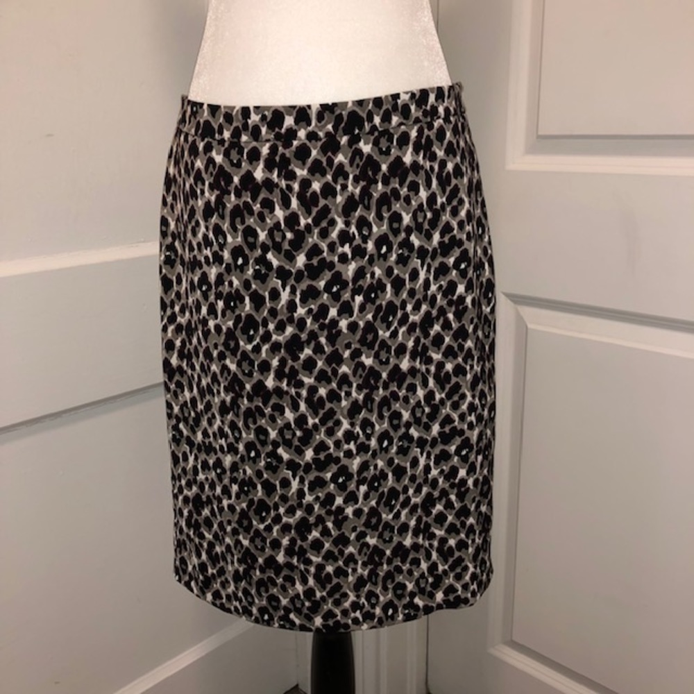 Stunning Ann Taylor Skirt